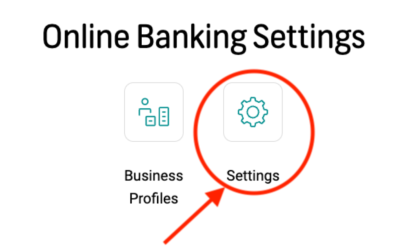 FNB OBS Settings.